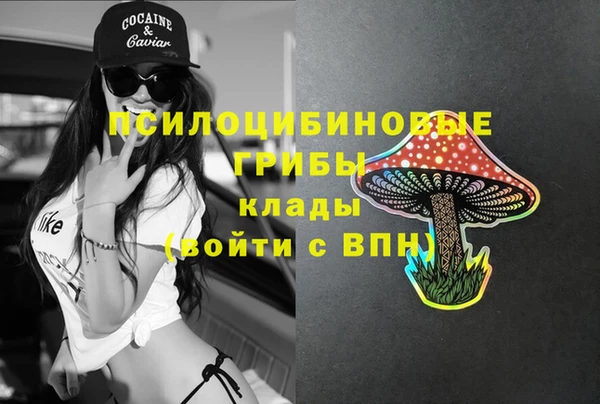 синтетический гашиш Алексеевка
